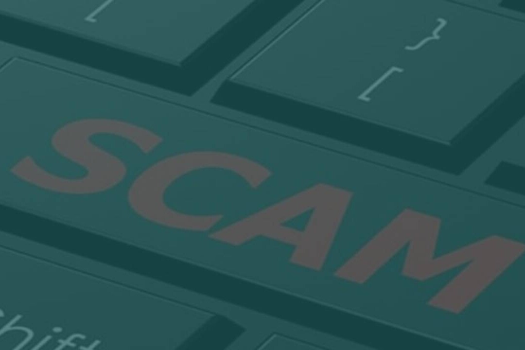 SEISS Fraud